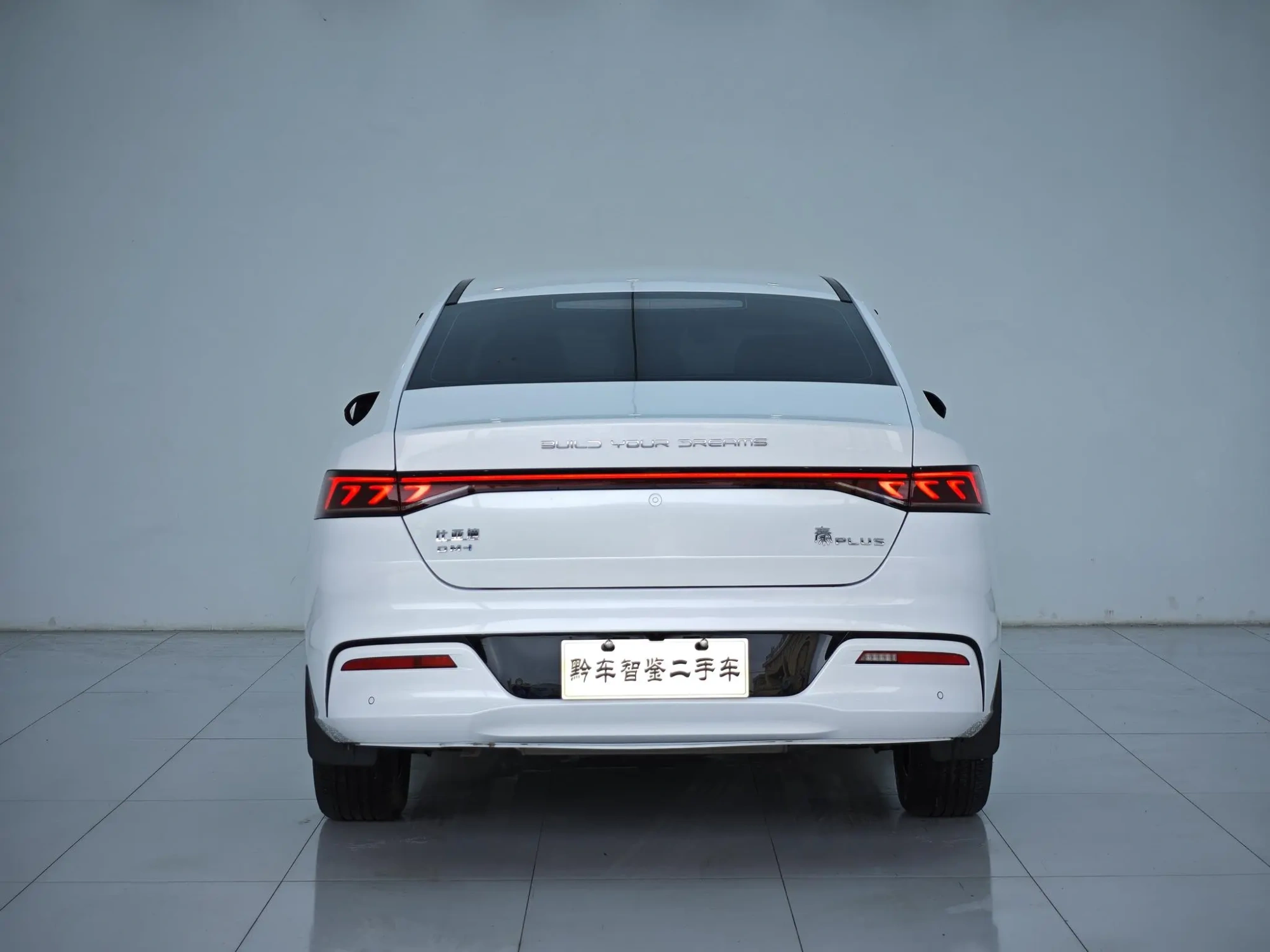 BYD Qin PLUS DM DM-i 120KM flagship type