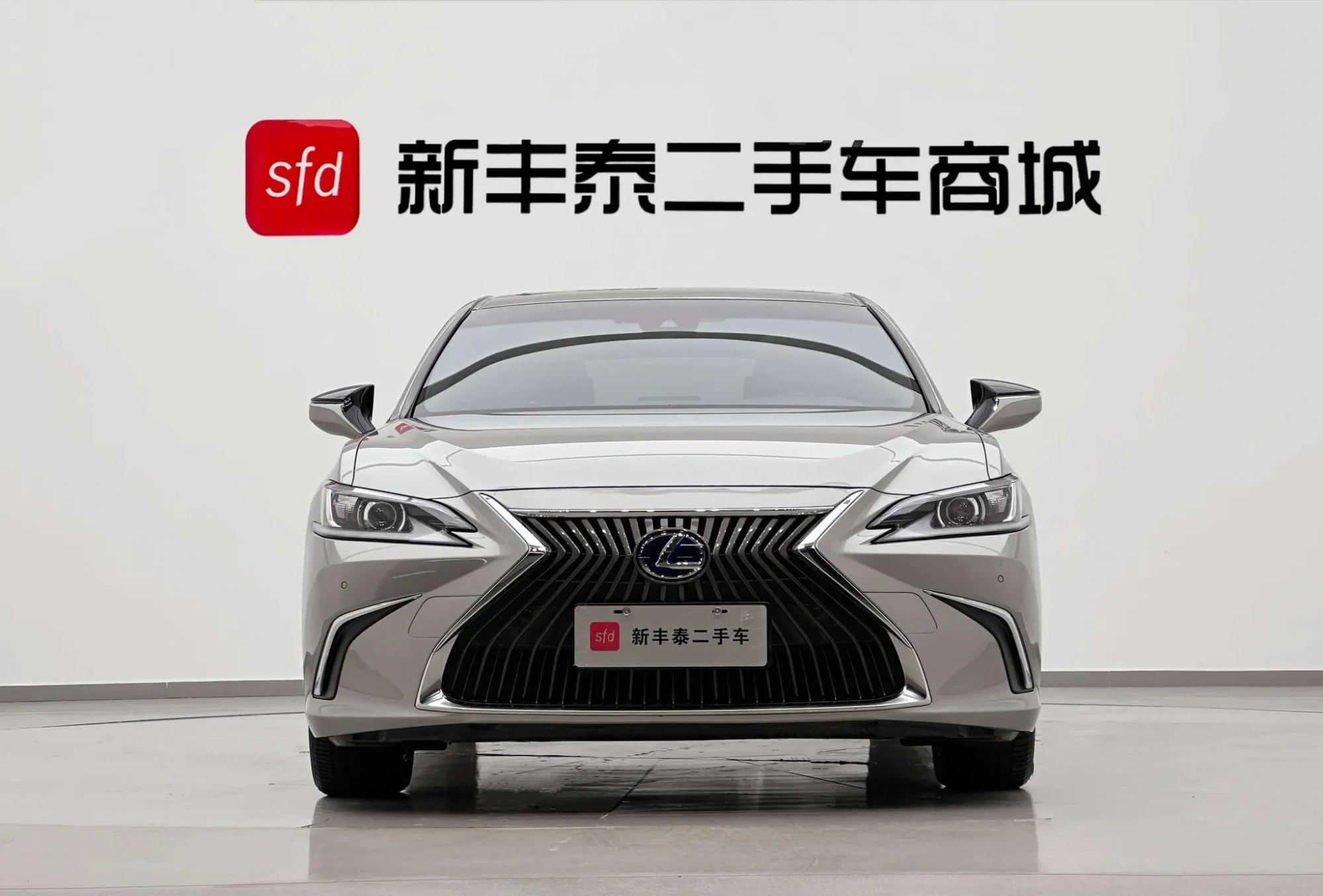 Lexus Lexus ES 300h Excellent Edition Country VI