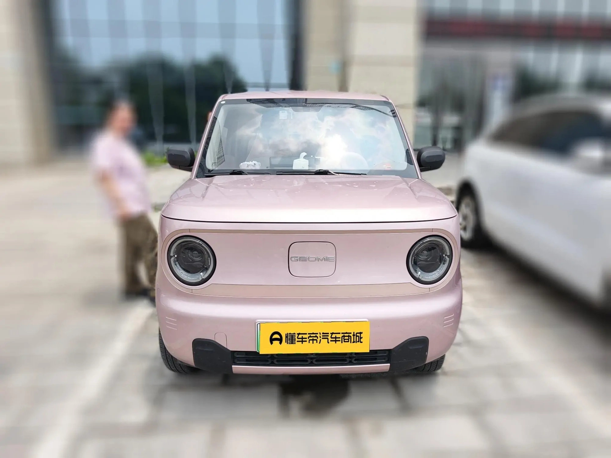 Geely Galaxy panda 200km panda mini endurance bear