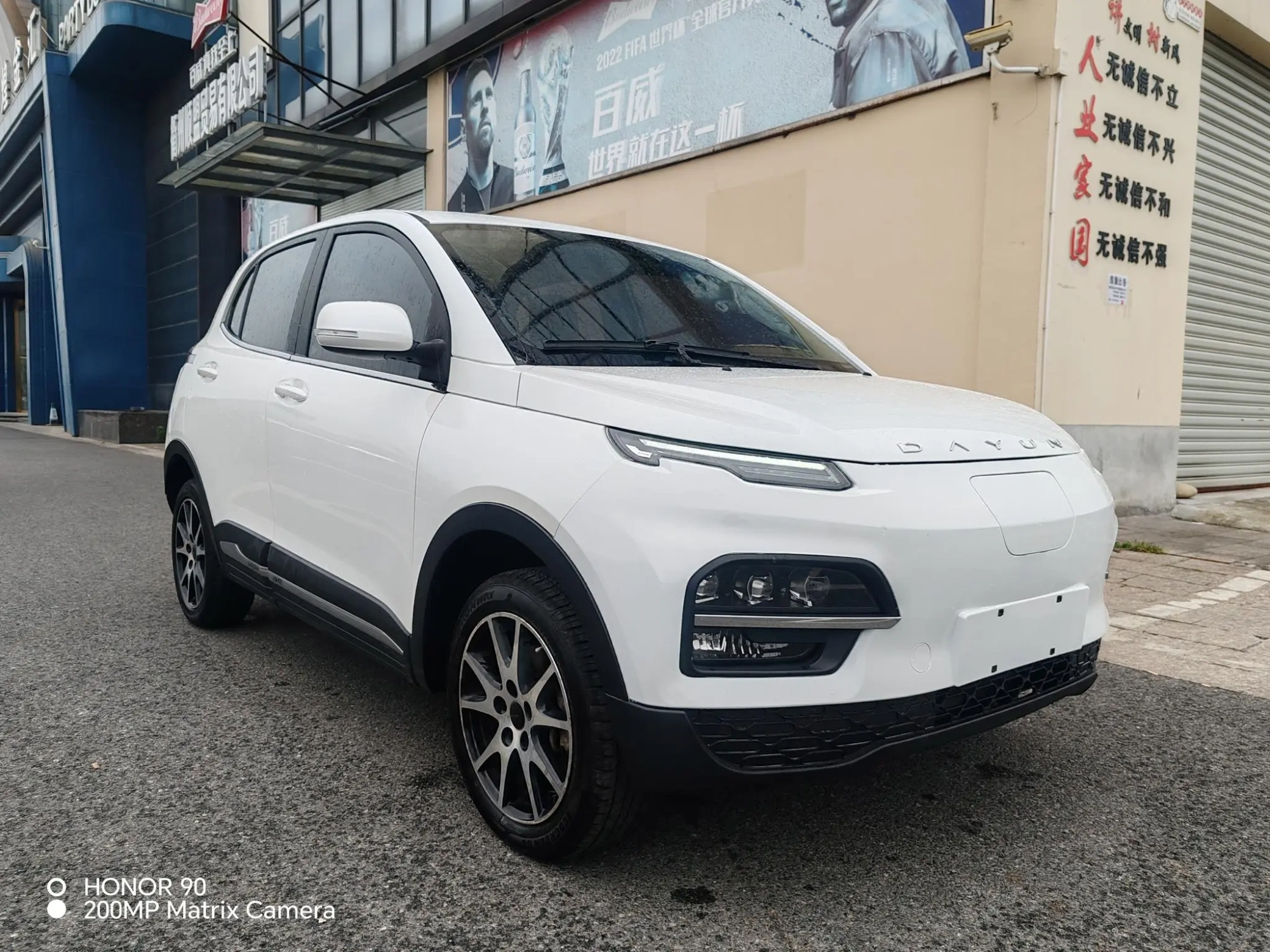 Dayun Yuehu 30.66kWh two-wheel drive vip edition