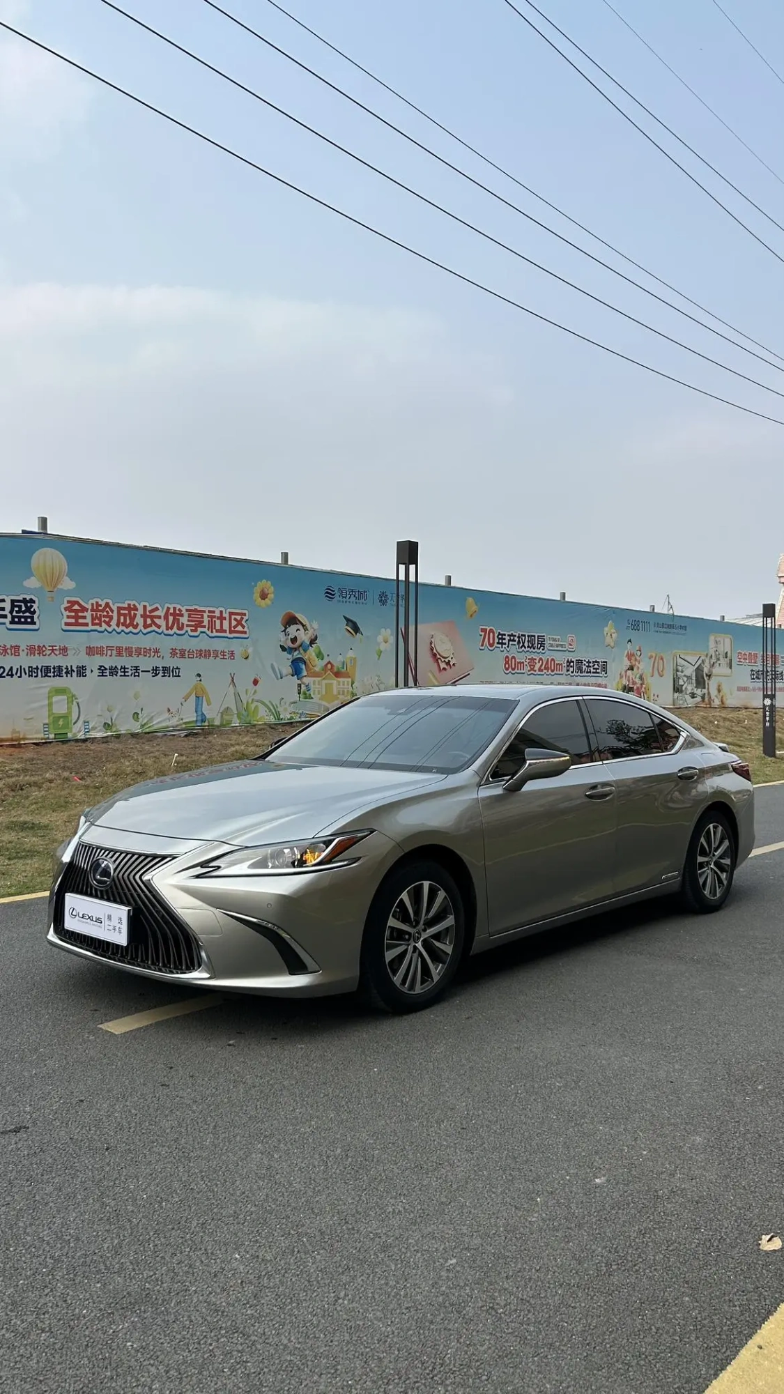 Lexus Lexus ES 300h Excellent Edition