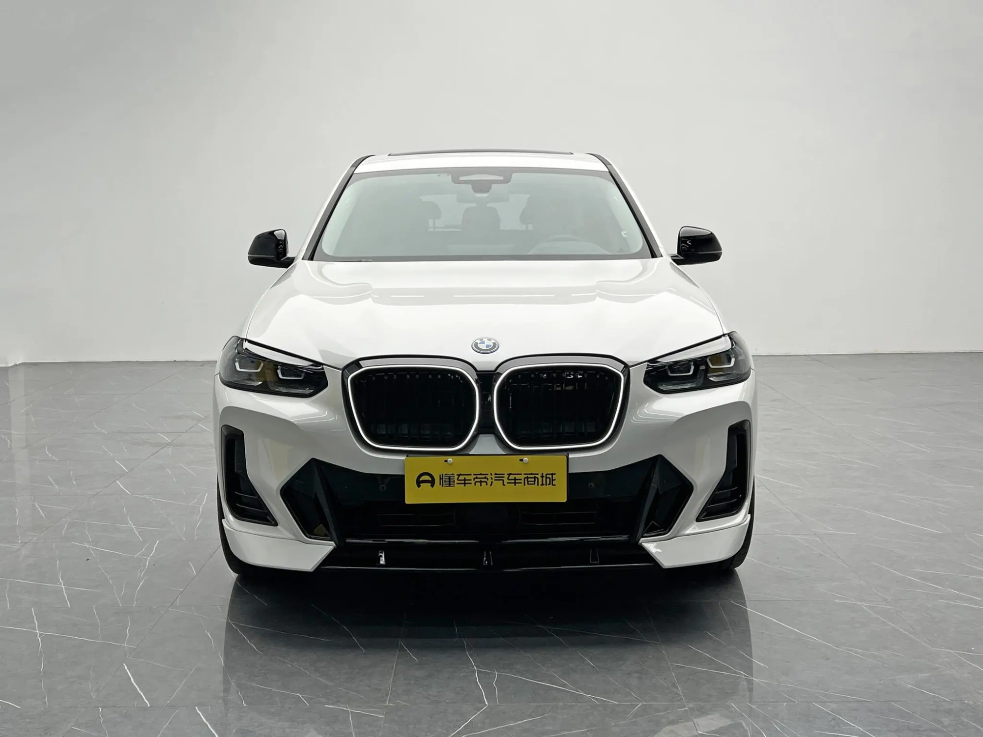 BMW BMW iX3 Creative collar type