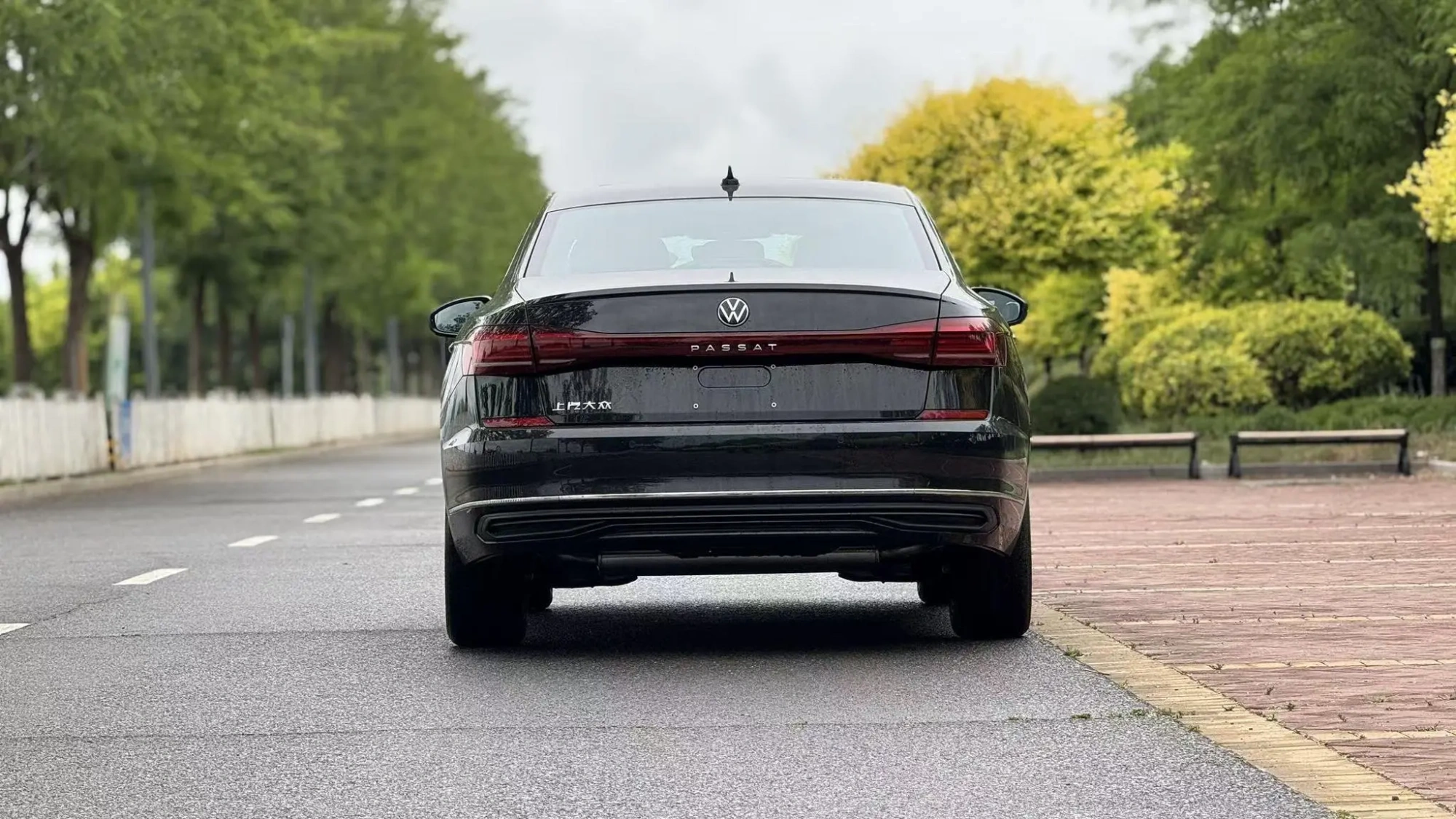 Volkswagen Passat Outstanding 330TSI Starry Sky Elite Edition
