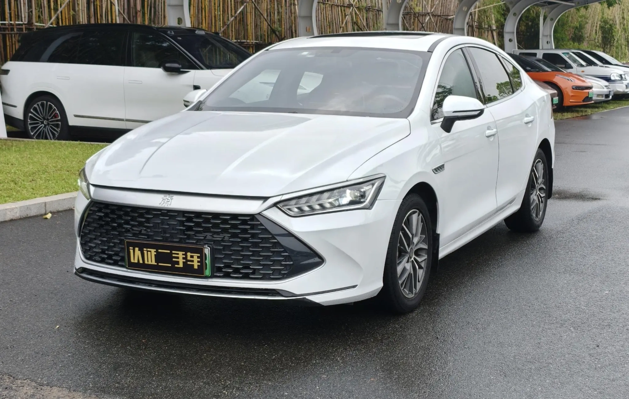 BYD Qin PLUS DM DM-i 55KM flagship type