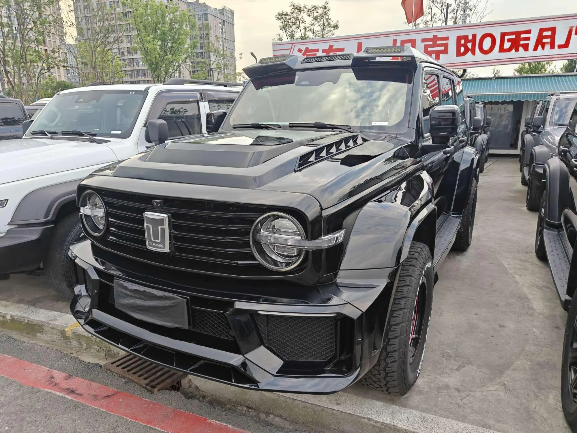 Tank Tank 300 Off-road version 2.0T Conqueror