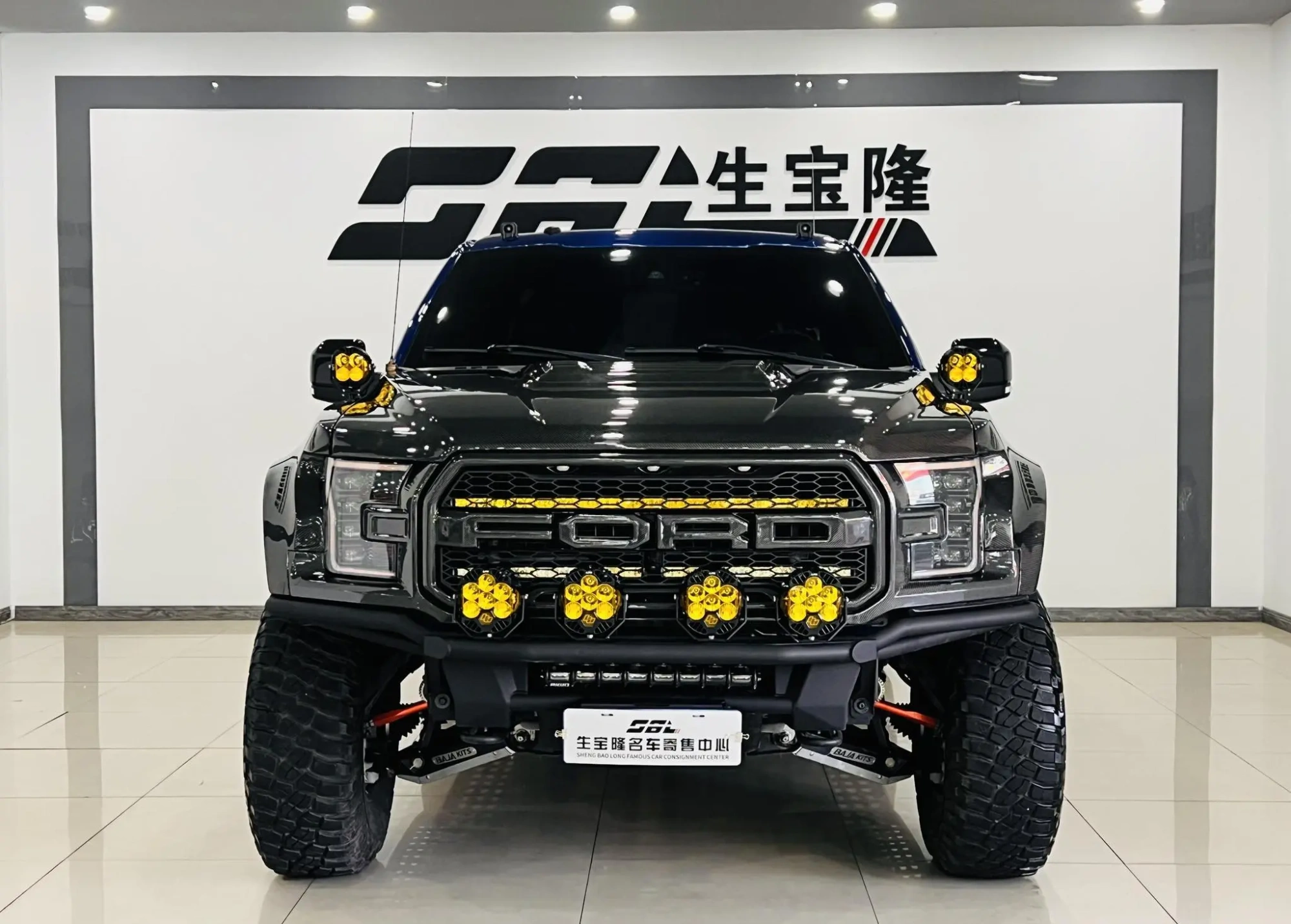 Ford Ford F-150 Raptor 3.5T Raptor Performance Enhanced Version