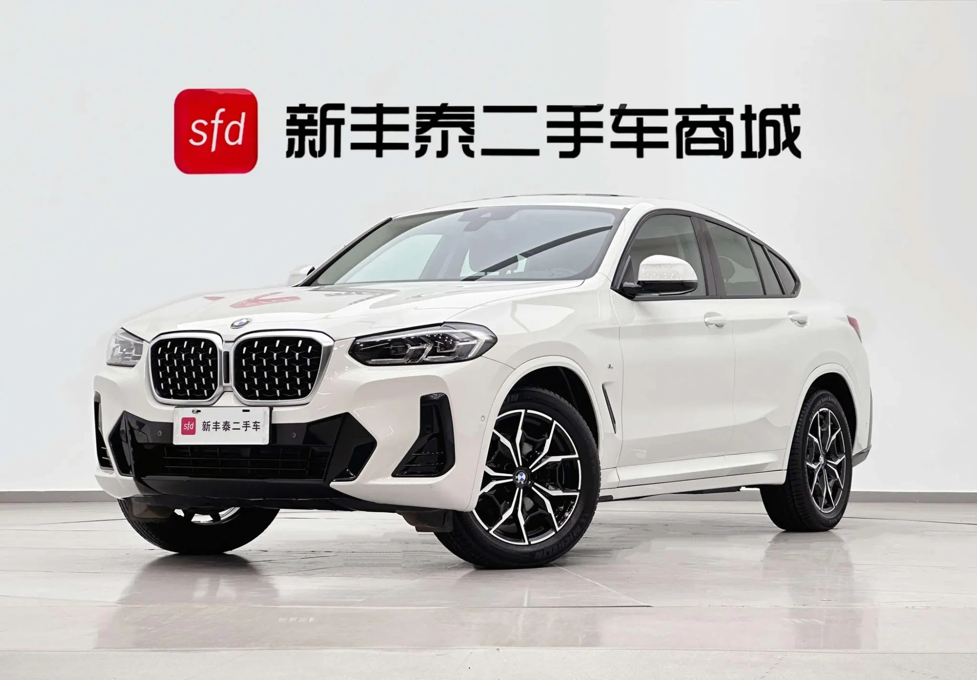 BMW BMW X4 xDrive 25i M sports suit