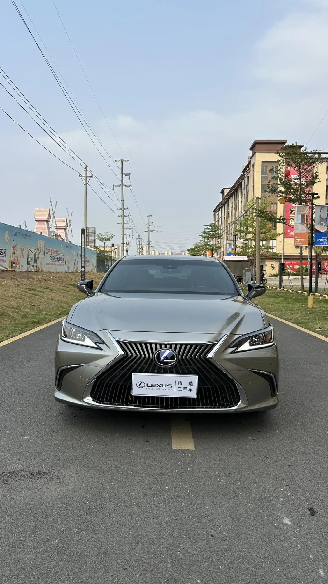 Lexus Lexus ES 300h Excellent Edition