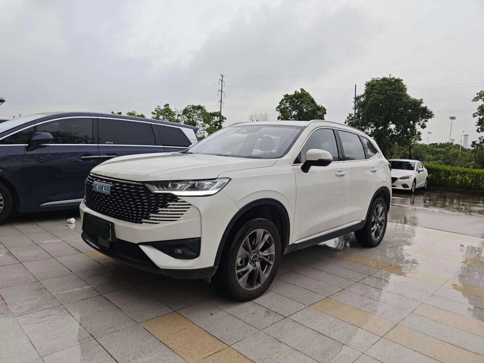 Haval Haval H6 PHEV 1.5T DHT-PHEV 110km Yuexing Edition